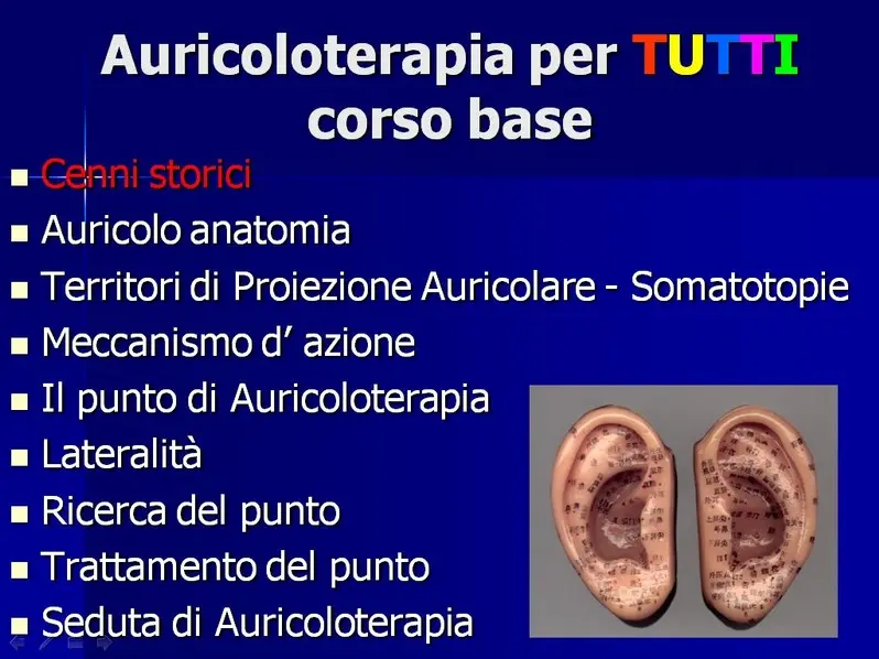Il corso base di Auricoloterapia che ti permette di entrare in questa affascinante tecnica.