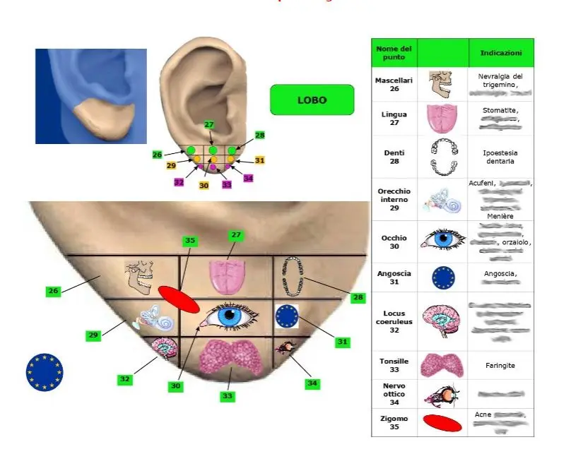 Atlante di  Auricoloterapia edizione 2021