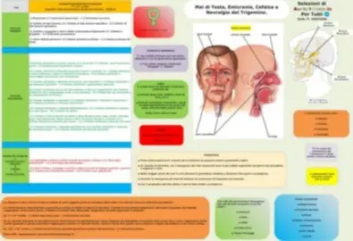 I punti dell'Auricoloterapia per curare le cefalea e la nevralgia del trigemino.