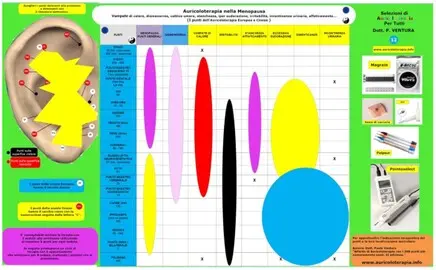 I punti da trattare per alleviare le manifestazioni fastidiose della menopausa.