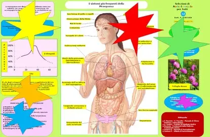 Cosa succede nella menopausa.