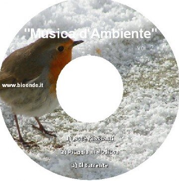 Musica d'Ambiente vol. 2. Autore Dott. P. Ventura.