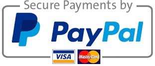 Corso di Auricoloterapia II livello con Paypal Corso di Auricoloterapia II livello